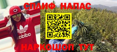 прущие грибы Нарткала