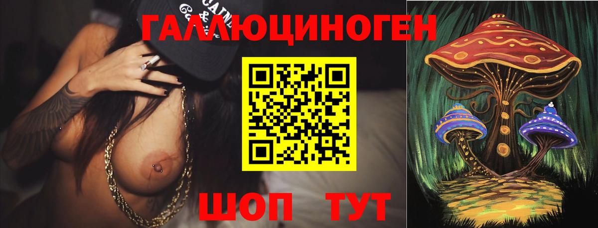 Псилоцибиновые грибы Psilocybe Тайшет